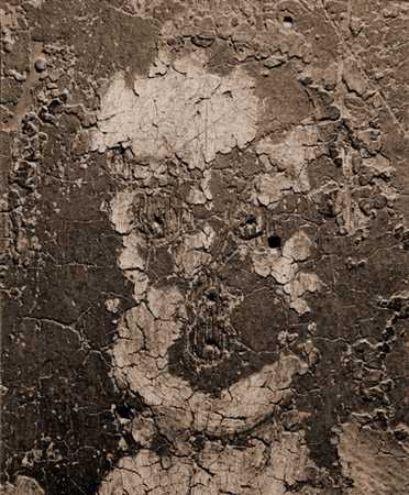 icon044