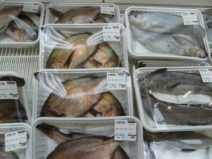 fish