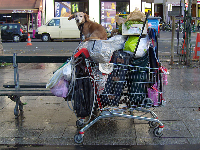 mobile home supermarket trolley