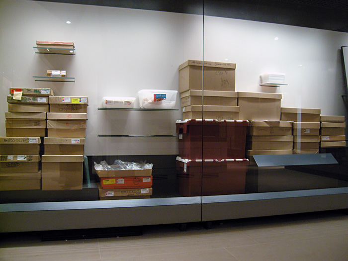 museum case
