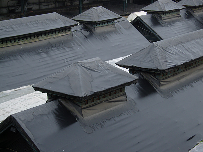 roof