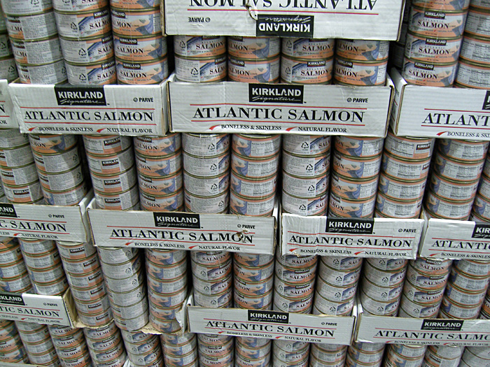 tuna