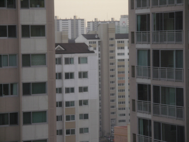 PICT0005