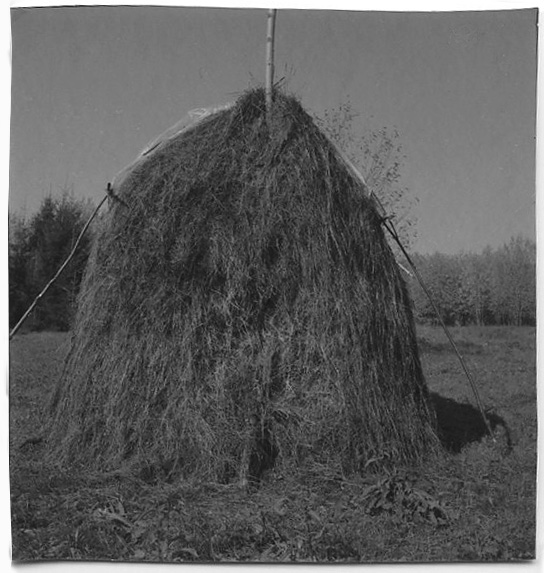 Urals082