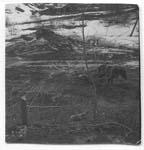 Urals024