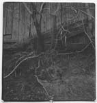 Urals065