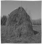 Urals082