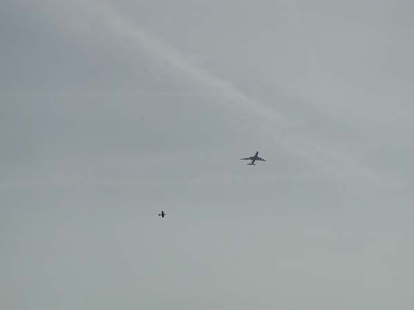 Two planes