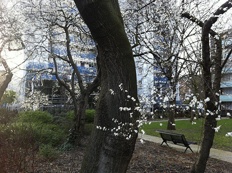 studio_010