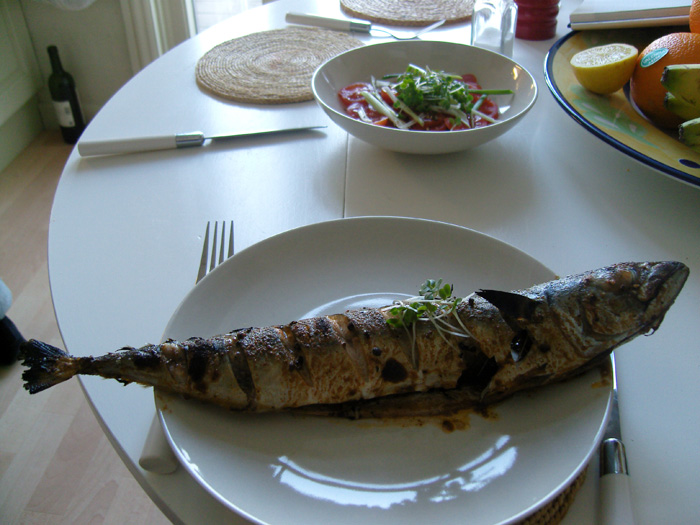 mackrel